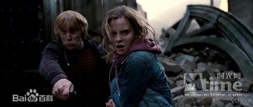 最新戴江精彩图册