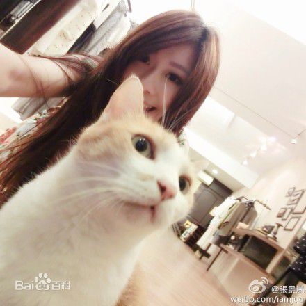 张景岚(Lan)图册前后照片