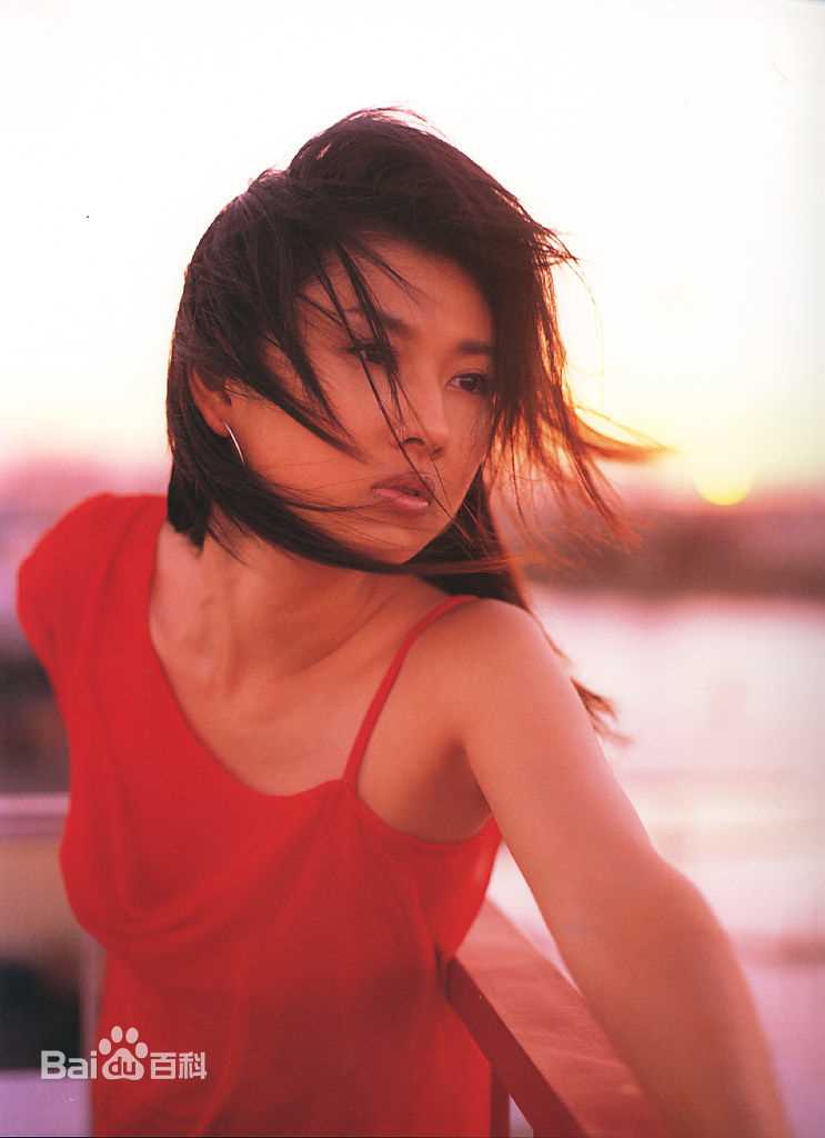 最新菊川 怜(きくかわ れい（平假名）)菊川怜精彩图册