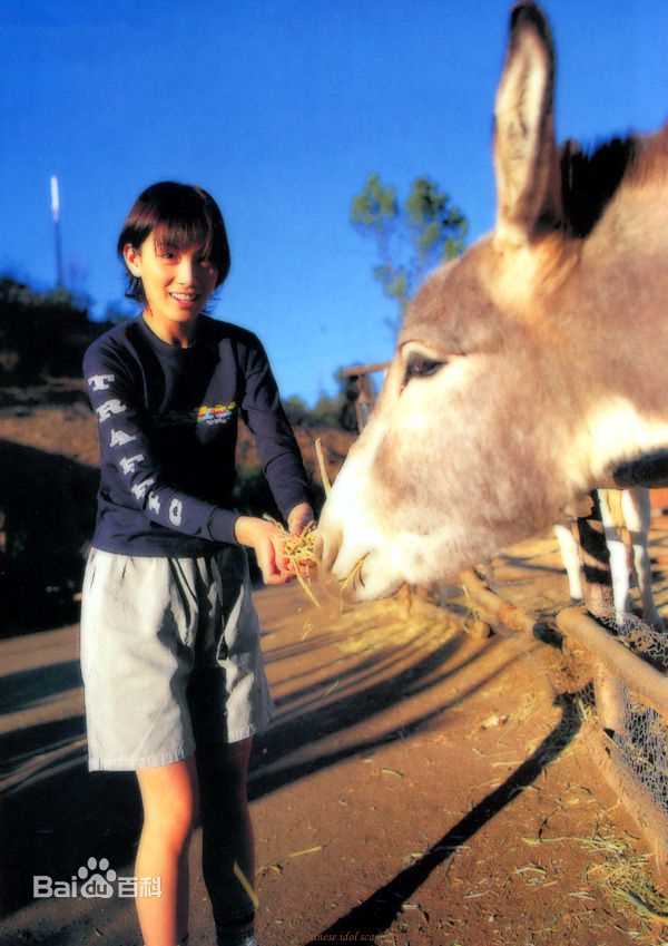 加藤爱(加藤あい（Ai Kato、かとう あい）)加藤 爱  图集生活照相册