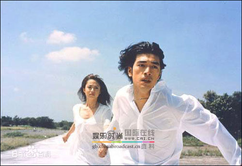 最全樱井淳子壁纸