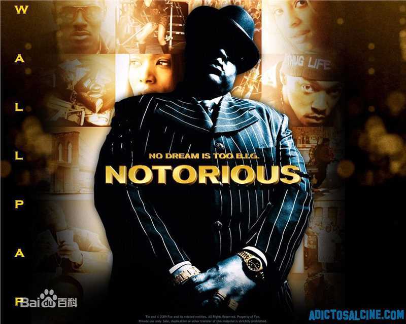 最全樱井淳子壁纸