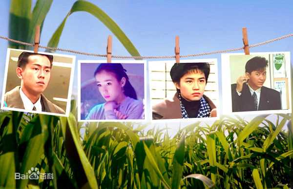 奥山佳惠美图秀秀图片图集