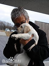 最优质绪形拳(おがた こぶし)生活照