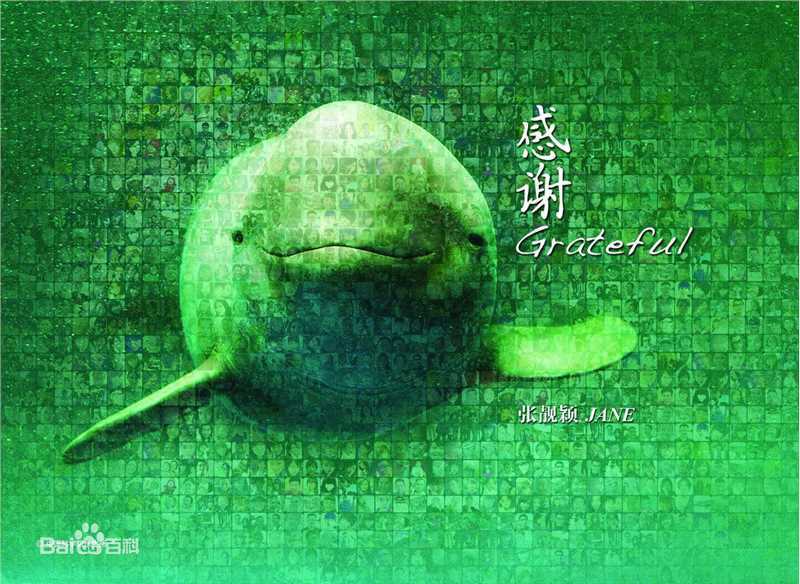 最全吉田荣作(吉田栄作)素颜照