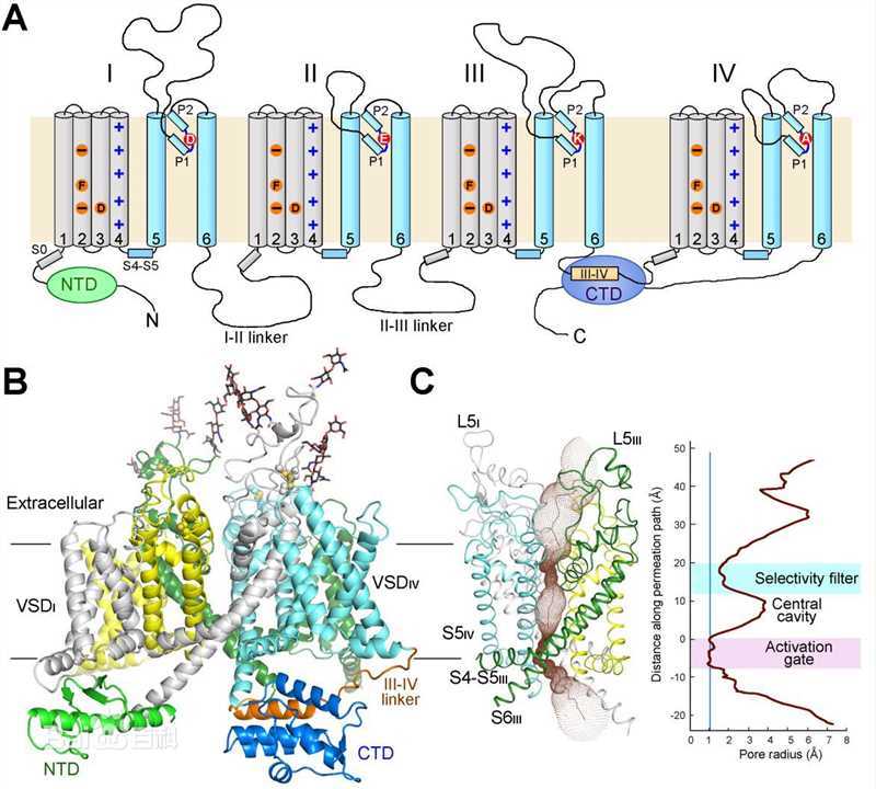 最优质颜宁(Nieng Yan)生活照
