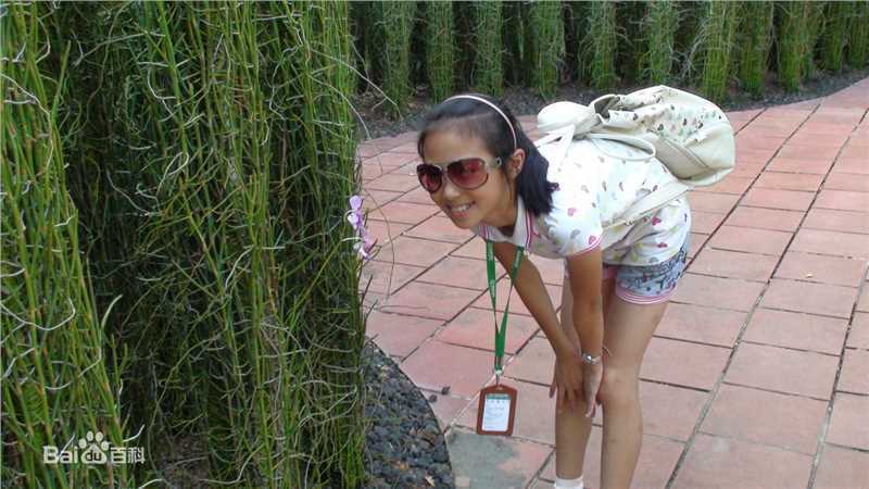 精选陈佳玮图片