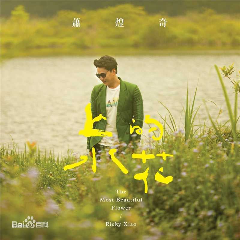 萧煌奇(Ricky)前后照片