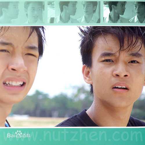 洪赐健成长经历图册