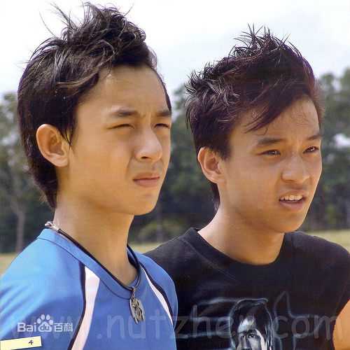 洪赐健成长经历图册