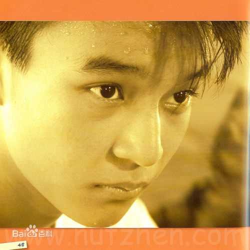 洪赐健成长经历图册