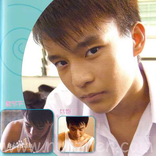 洪赐健成长经历图册