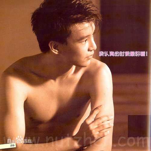 洪赐健成长经历图册