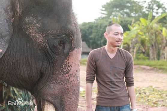 杜子名《最后一头战象》高清剧照