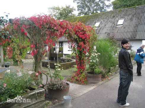 盖然在国外的随拍性感图片图集