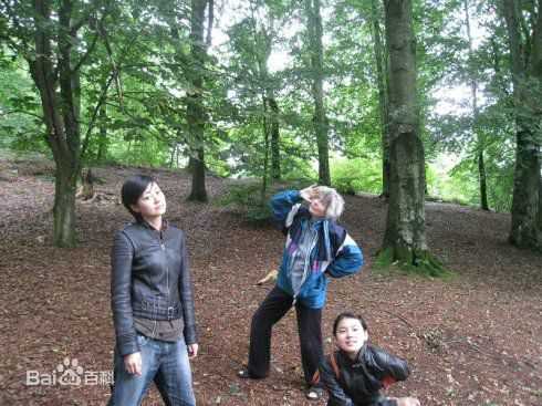 盖然在国外的随拍性感图片图集