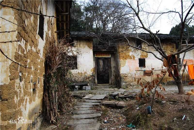 李涛(Li Tao)人物纪念图片图集