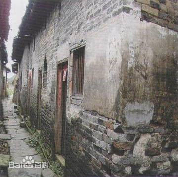 李涛(Li Tao)人物纪念图片图集