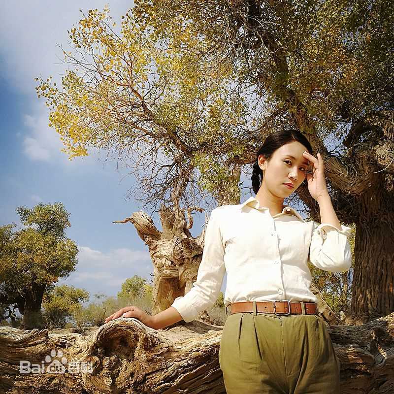 卢卓婕(lou ceg jib)最优质剧照