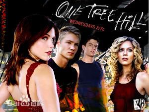 珊特尔·范圣滕(Shantel VanSanten)前后照片