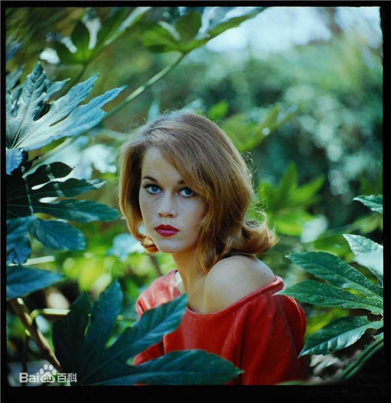 最全简·方达(Jane Fonda)精彩图册