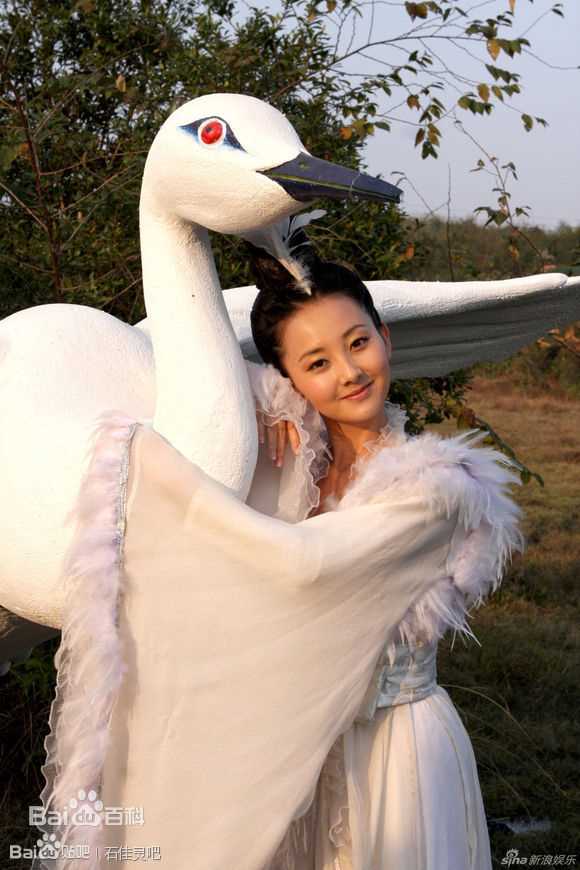 石佳灵精选图册