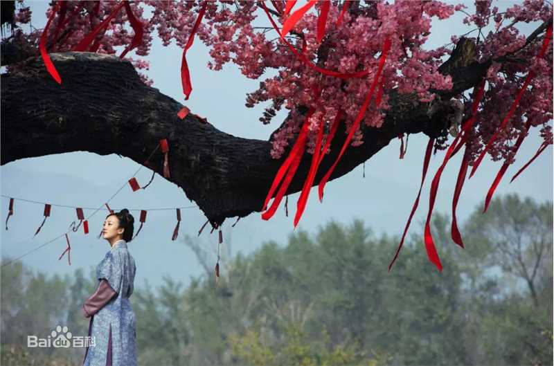 杜沁怡影视剧生活照相册