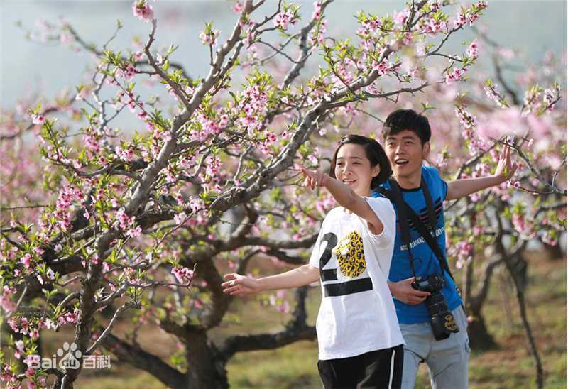 孙聪《欢天喜地对亲家》高清剧照
