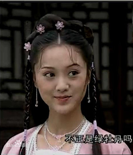 最全毛玲萍在《绿牡丹》之婉娥中的壁纸