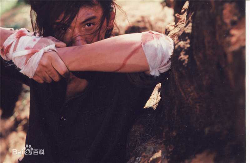 薛飞T台模特照片壁纸壁纸