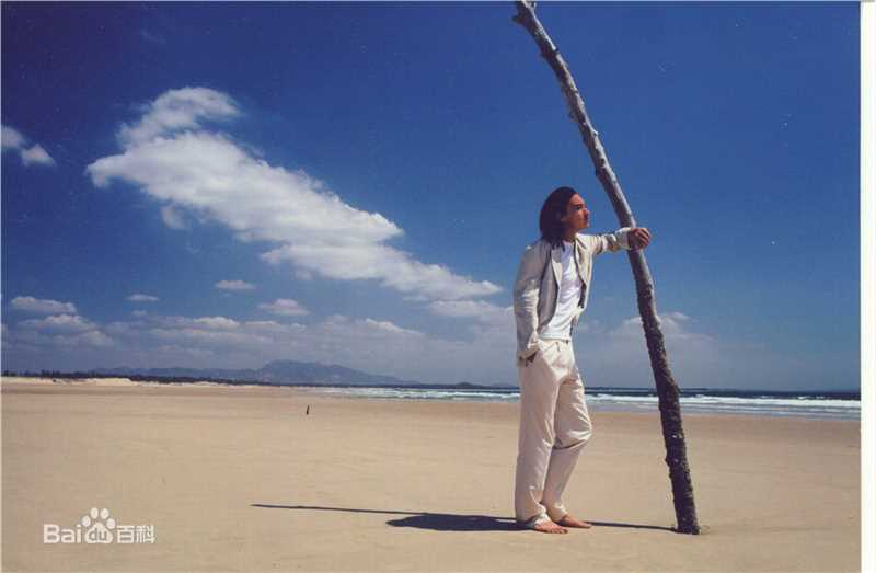 薛飞T台模特照片壁纸壁纸