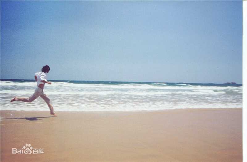 薛飞T台模特照片壁纸壁纸