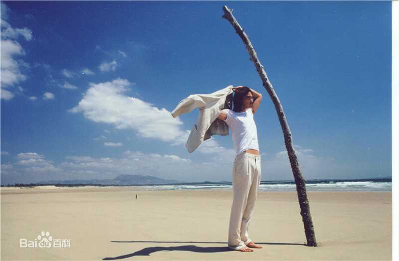 薛飞T台模特照片壁纸壁纸