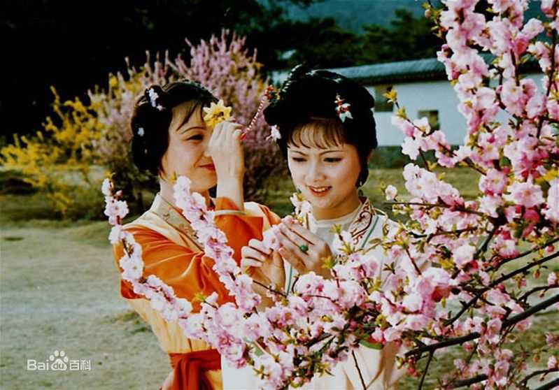 最优质张莉在87版《红楼梦》薛宝钗中的相册