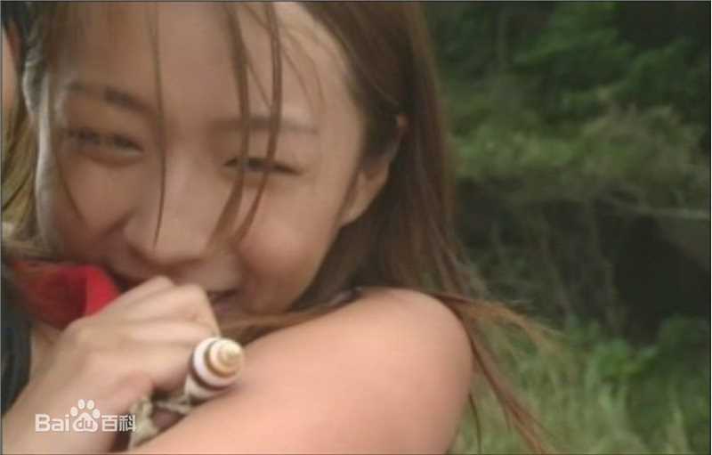 酒井若菜(SAKAI WAKANA 若菜ちゃん)最优质98-03年剧照（封面：「离家千万里」）相册