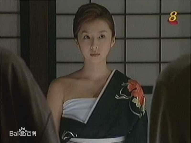 酒井若菜(SAKAI WAKANA 若菜ちゃん)最优质98-03年剧照（封面：「离家千万里」）相册