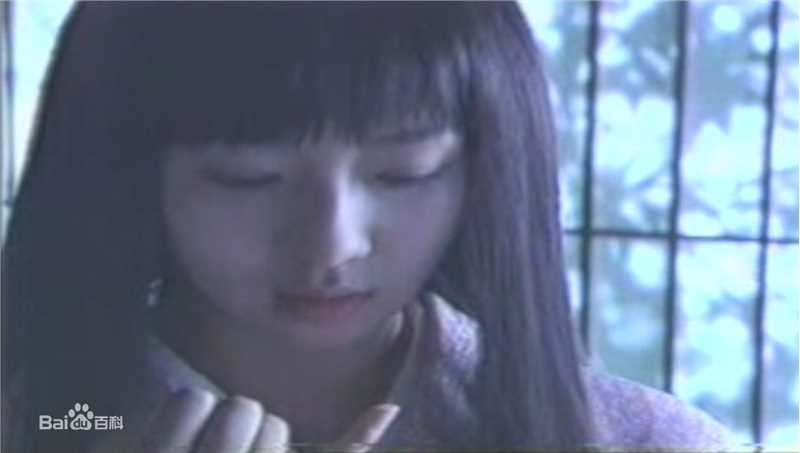 酒井若菜(SAKAI WAKANA 若菜ちゃん)最优质98-03年剧照（封面：「离家千万里」）相册