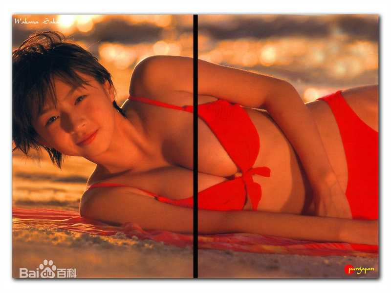 酒井若菜(SAKAI WAKANA 若菜ちゃん)精选图册