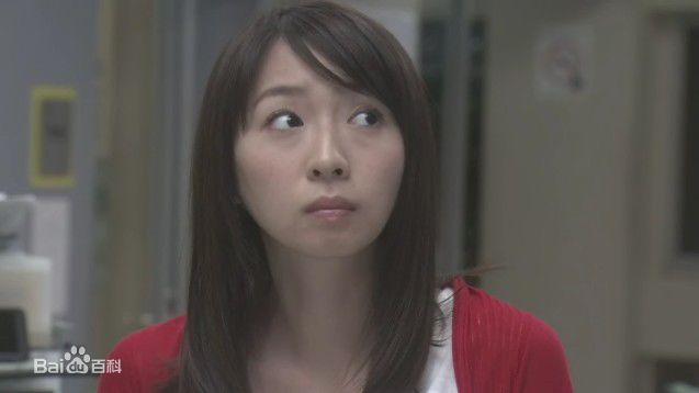 酒井若菜(SAKAI WAKANA 若菜ちゃん)精选04-09年剧照（封面：「HOME DRAMA!」）图册