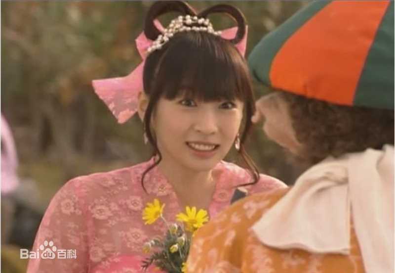 酒井若菜(SAKAI WAKANA 若菜ちゃん)精选04-09年剧照（封面：「HOME DRAMA!」）图册