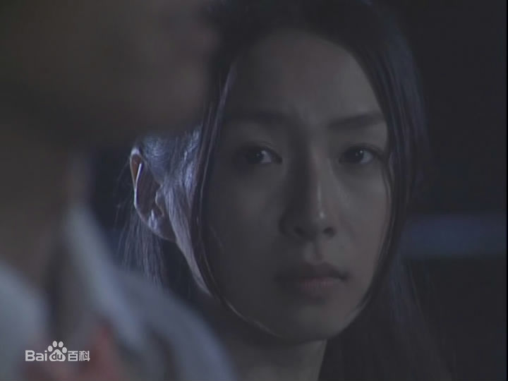 酒井若菜(SAKAI WAKANA 若菜ちゃん)精选04-09年剧照（封面：「HOME DRAMA!」）图册