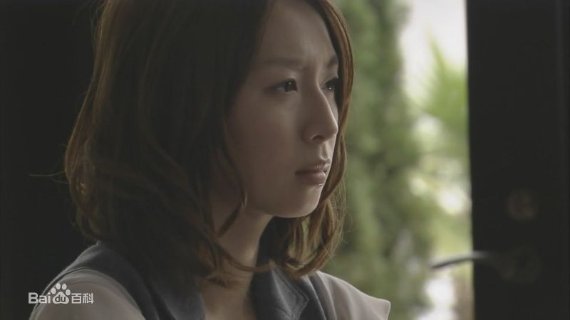 酒井若菜(SAKAI WAKANA 若菜ちゃん)精选04-09年剧照（封面：「HOME DRAMA!」）图册