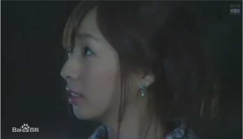 酒井若菜(SAKAI WAKANA 若菜ちゃん)精选04-09年剧照（封面：「HOME DRAMA!」）图册