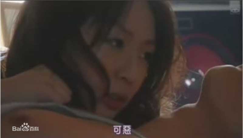 酒井若菜(SAKAI WAKANA 若菜ちゃん)精选04-09年剧照（封面：「HOME DRAMA!」）图册