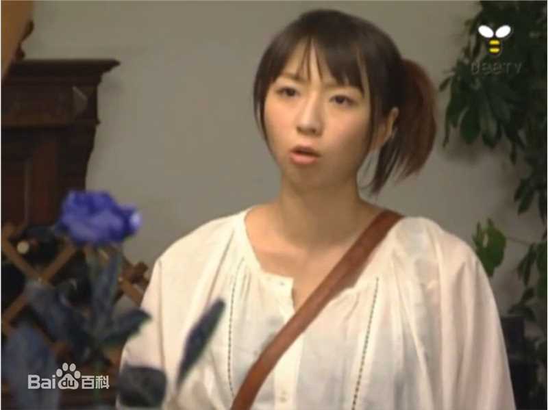 酒井若菜(SAKAI WAKANA 若菜ちゃん)最优质10-11年剧照（封面：「自恋刑警」）相册