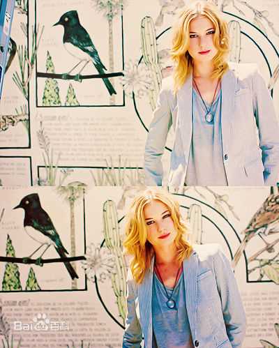 高清艾米丽·万凯普(Emily VanCamp)精彩图册