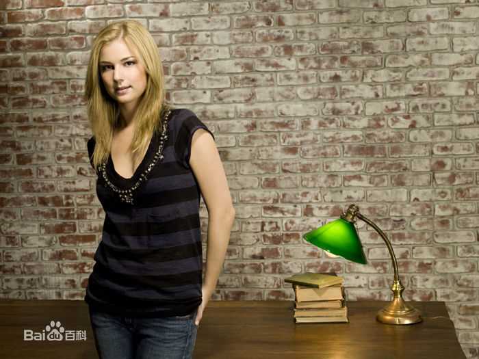 高清艾米丽·万凯普(Emily VanCamp)精彩图册