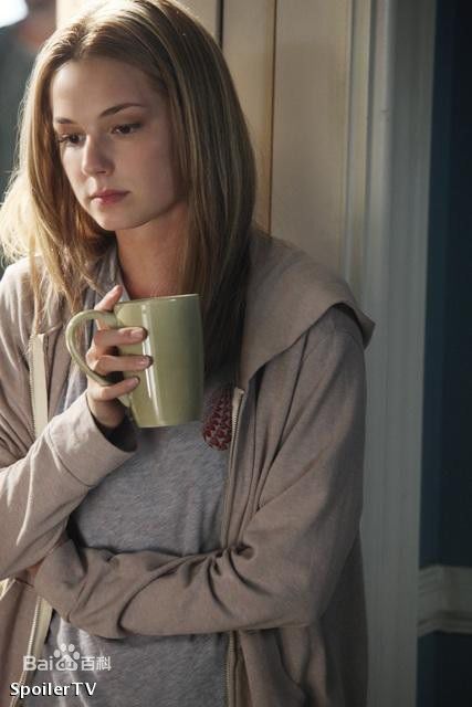 高清艾米丽·万凯普(Emily VanCamp)精彩图册