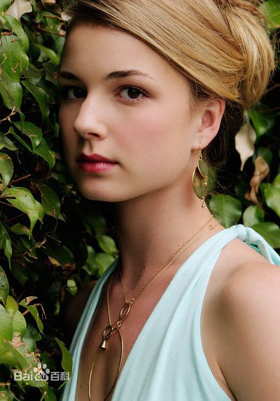精选艾米丽·万凯普(Emily VanCamp)