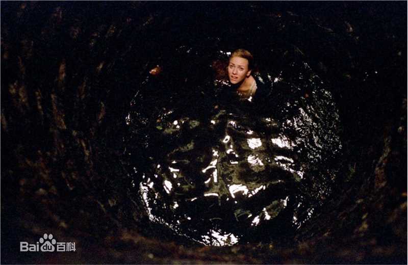 精选艾米丽·万凯普(Emily VanCamp)